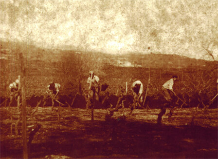 cfca1c49-d29e-43c0-a06b-a390de798bf4