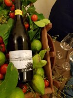 ti-cuntu-insolia-igt-terre-siciliane-2023