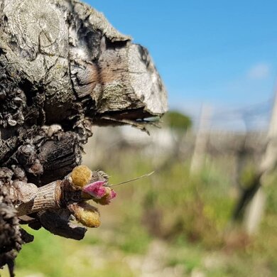 8649685d-3f64-4609-8030-eb38719313a9