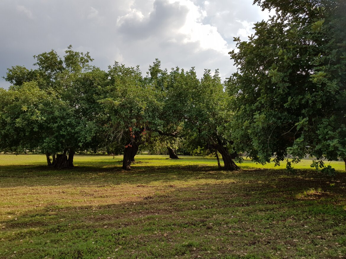 41ce8b02-10b9-44a9-8bf4-c76143e5ffd0