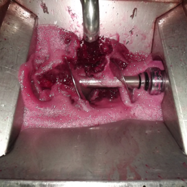 Lasciamoci rapire dalla svinatura ovvero la separazione del mosto fiore dalla pasta