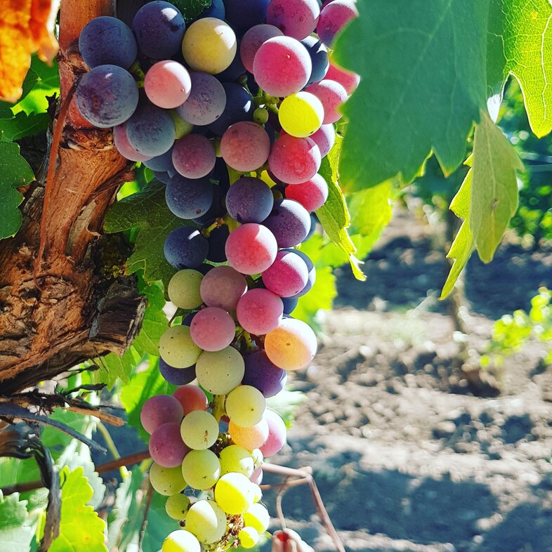 cb349e23-f47d-44fe-8e59-49d70f0b8e0f