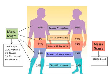 d235796f-96a7-43bc-8580-a70651813432