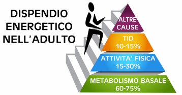 3a2d7059-e9d9-430b-bebc-4e9c075c7d7a