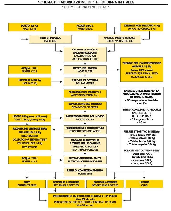 Alcol e virus nemici del fegato Alcol e virus nemici del fegato