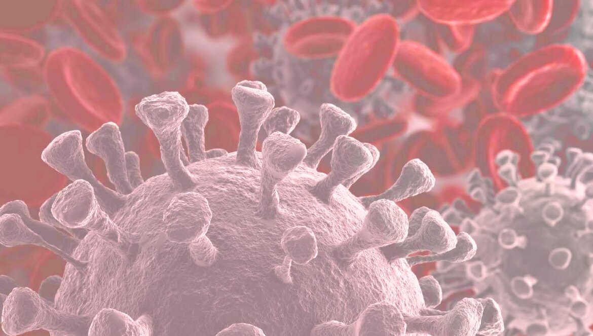 74f5d003-ec36-4c96-aca2-84b2d38c1cb0