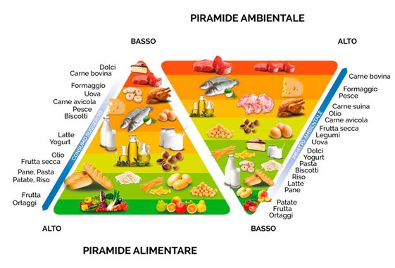 9ca2e21e-c995-4612-9138-4110822f11c1