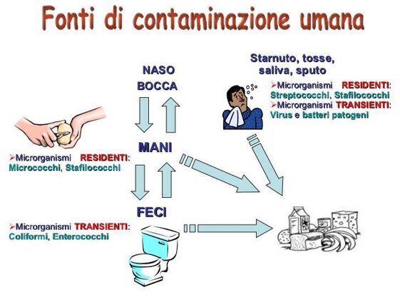 e32b1b28-a2e2-42f6-8fff-d0f83f96967e