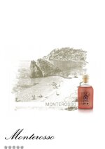 linea-amorr-5-terre-monterosso