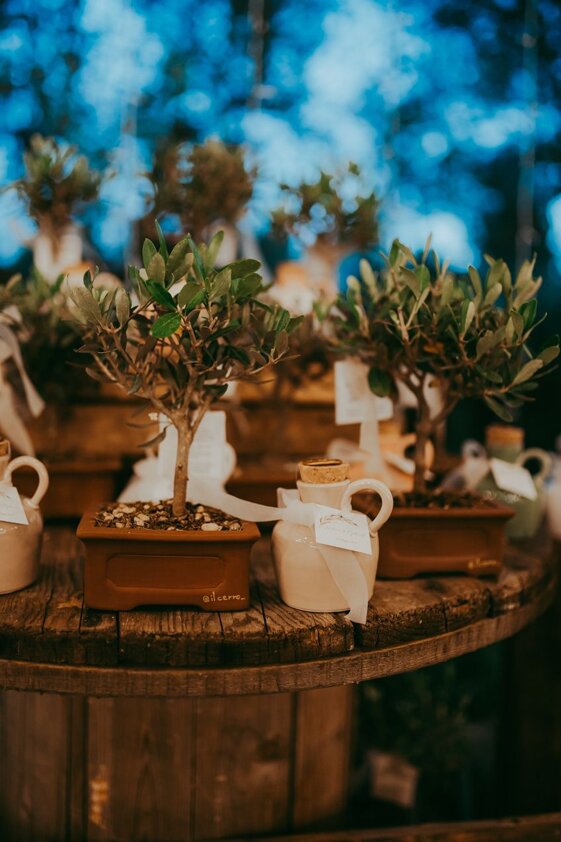 e56c091e-5a54-4c3c-98ef-c97d06b11c6c e56c091e-5a54-4c3c-98ef-c97d06b11c6c