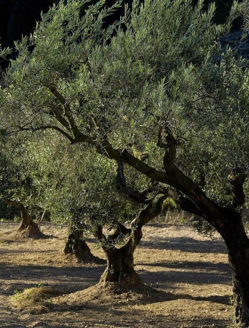 02b3fda0-c077-4e0a-bb32-270ee4fae4ef