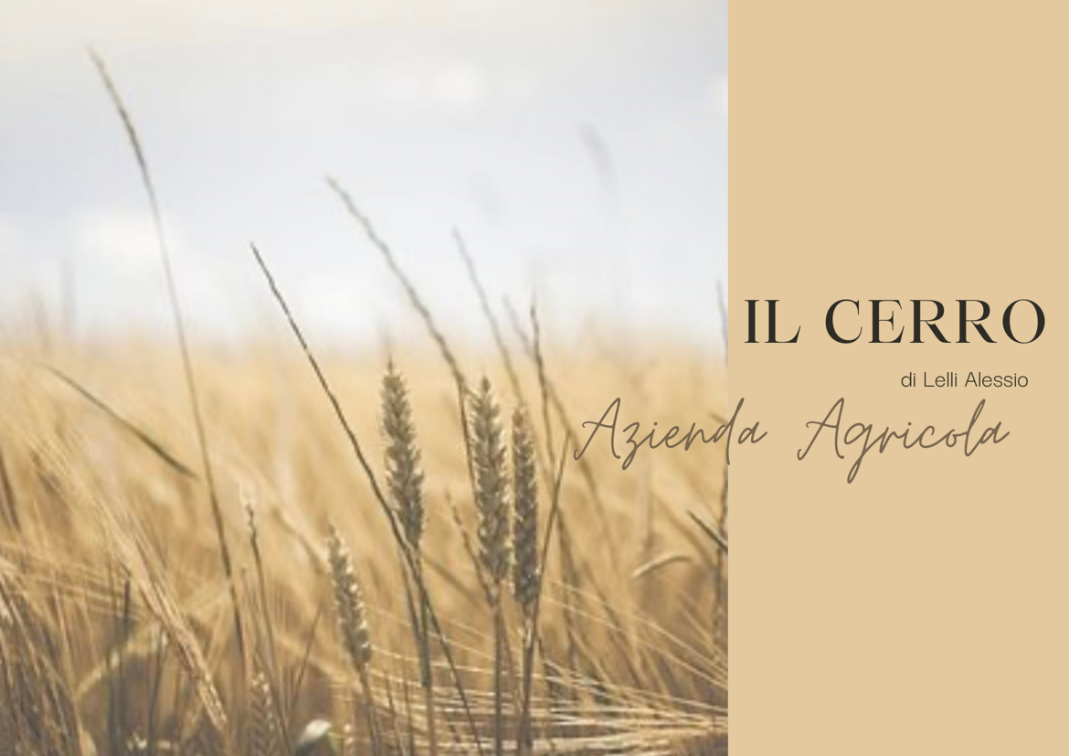 a55039ad-f1f5-4ea2-9464-94f95e93bfad