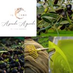 latta-dal-design-emozionale-il-cerro-olio-extra-vergine-di-oliva-1-litro