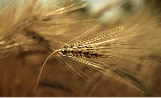 7977e829-dbb4-4b91-a3df-1608a805dca9