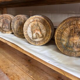 Pecorino Moliterno IGP Pecorino Moliterno IGP