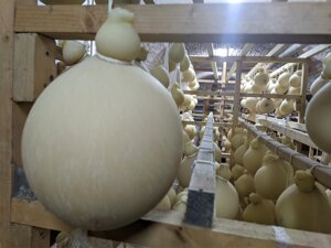 caciocavallo-artigianale-di-santarcangelo