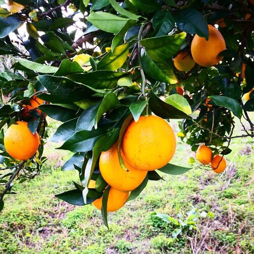 398066ca-fd82-4efb-88b1-cb37024657b6