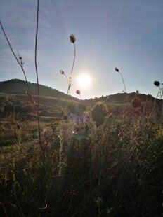 f88f8ed9-75b1-43c1-ad86-e0c4f9b312a2