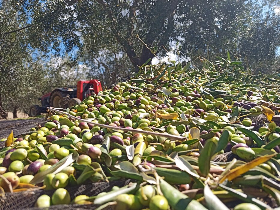 1ddc6dc8-256d-4972-833b-9870c0db275a 1ddc6dc8-256d-4972-833b-9870c0db275a