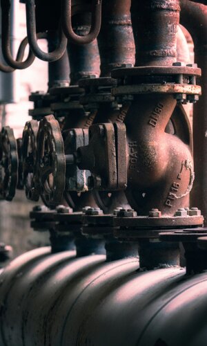 31c05595-d362-4336-b611-3d579548f333.jpeg 31c05595-d362-4336-b611-3d579548f333.jpeg