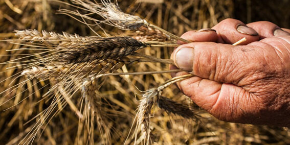 4d552c6e-a468-4d37-b299-5b32efdab93c 4d552c6e-a468-4d37-b299-5b32efdab93c