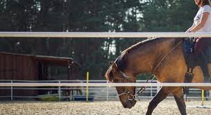 2e2a373b-4491-4672-999d-c90134fbfde7