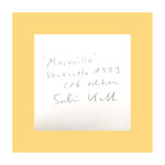 maravilla-venezuela-2