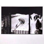 cameleon-ivory-coast