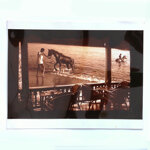 horses-aswan-cibachrome