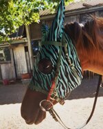 maschere-per-cavalli