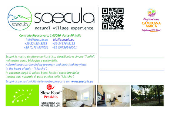 e3e317c9-14cc-4787-aecd-57491dacf3a8