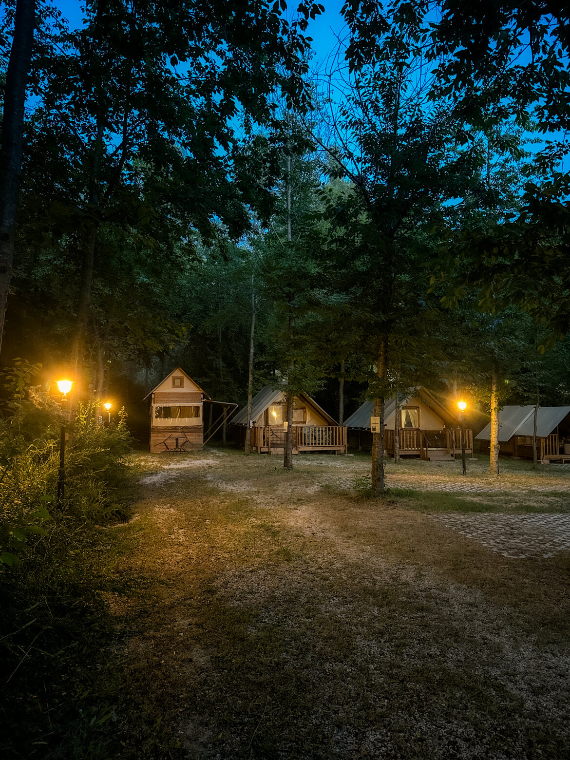 068ad94f-d4fa-4862-8a9c-0ff6fc5d4491