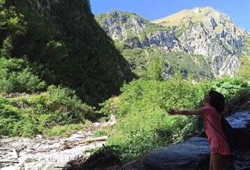 0c99c3b2-d2aa-4013-b6e8-d4ae59ea11ce 0c99c3b2-d2aa-4013-b6e8-d4ae59ea11ce