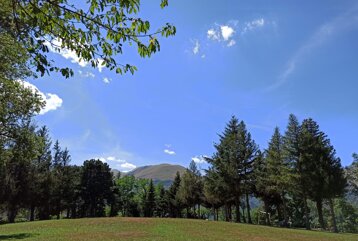 b50678c9-8d0b-4351-ab97-3018513014cf b50678c9-8d0b-4351-ab97-3018513014cf