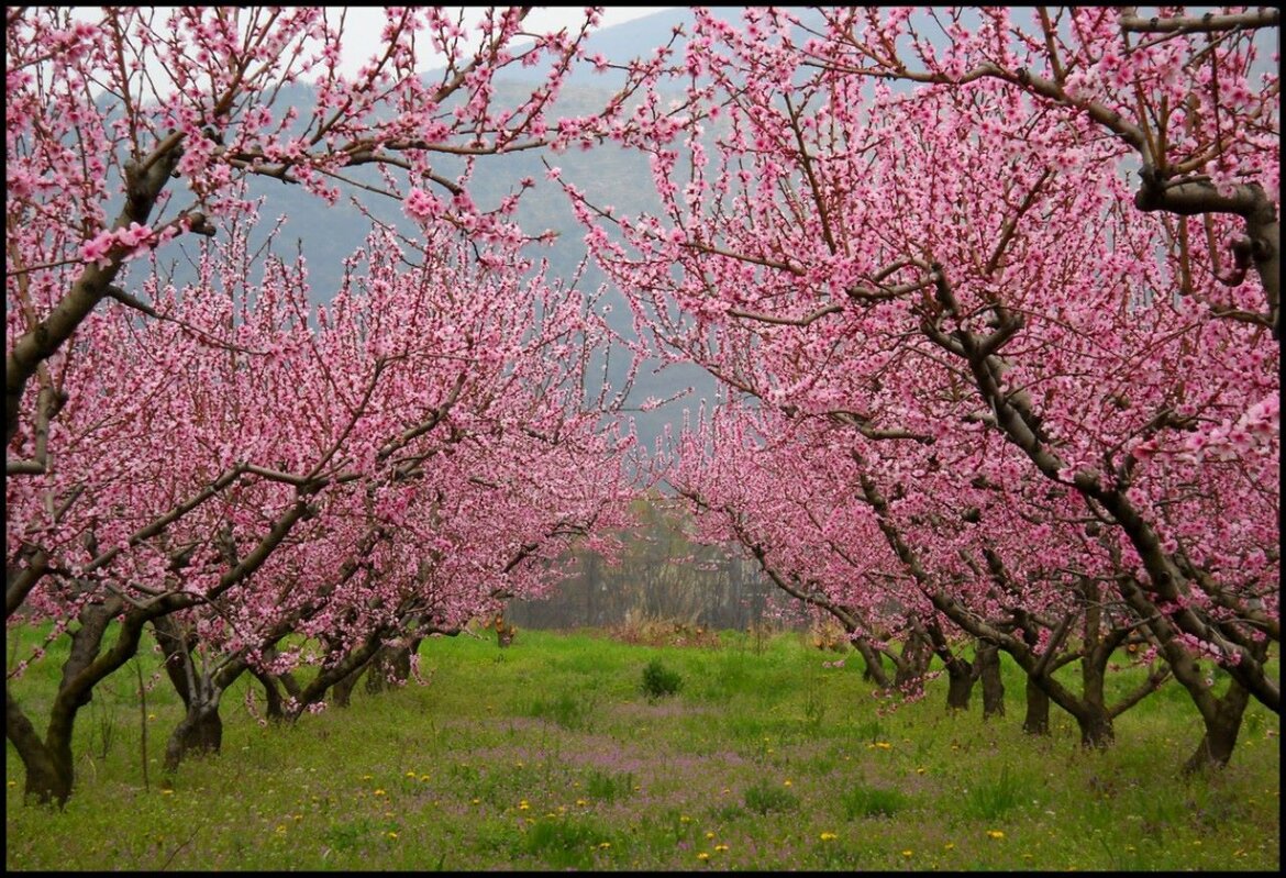 9cfe45ba-e66e-46b4-adab-98723e6b0e00