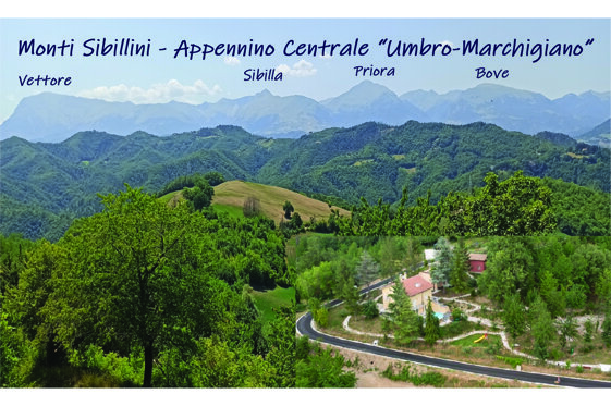 039e836e-68c9-4efd-b630-465cae91fd00