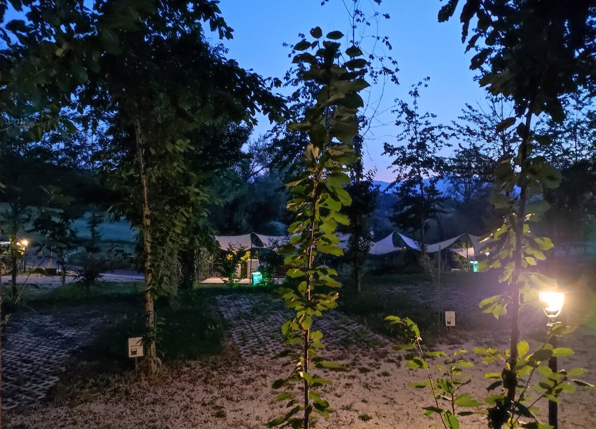 6e9346aa-f84d-4872-9567-eaa533ee1156