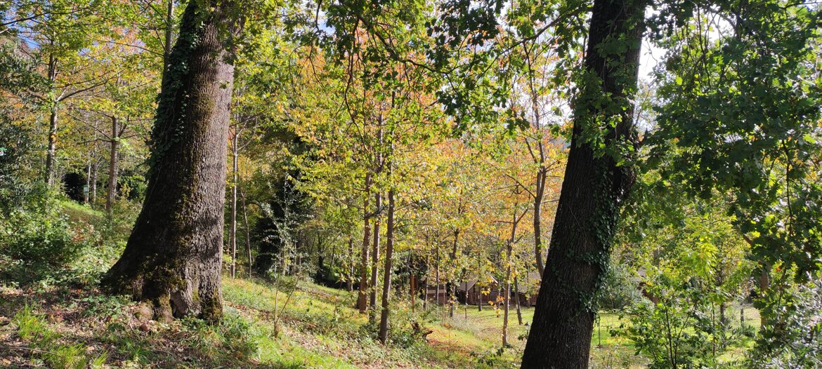 aa1d31c5-5229-42e0-b686-c4124dfc991a