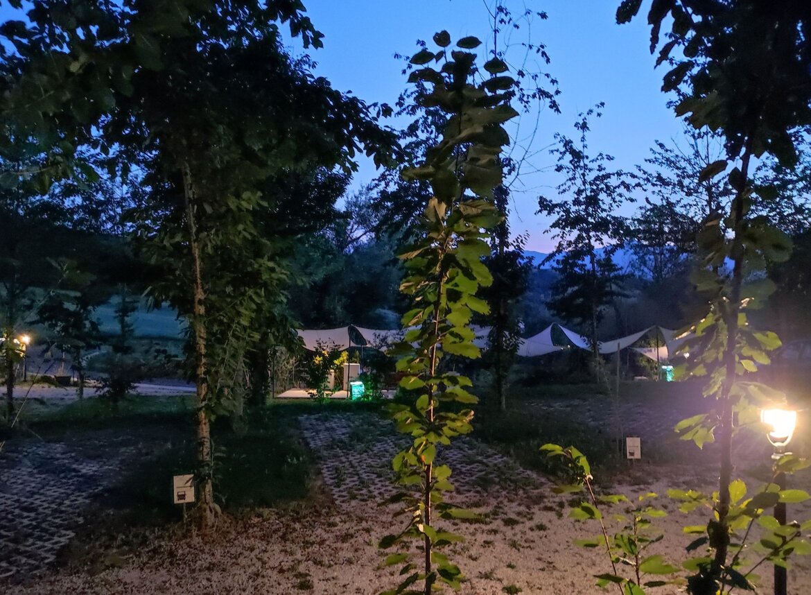 6911f2d7-afb2-4f95-9b5b-1540419b82eb