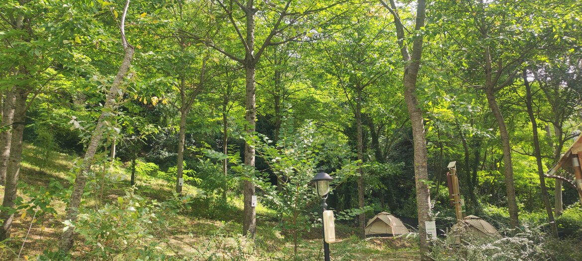 d814d2b1-2cfc-491e-afa3-419a9d47331f