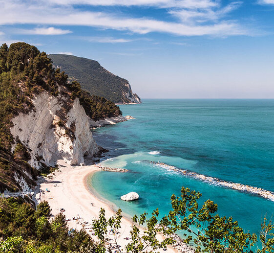 37969c5a-99e4-4066-8378-8b8207b6e6e7 37969c5a-99e4-4066-8378-8b8207b6e6e7