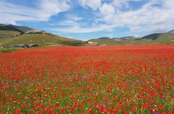 c471c975-296f-4761-9437-4c896f8bdb40 c471c975-296f-4761-9437-4c896f8bdb40