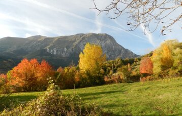 439fea5b-8ce2-498f-a18d-eca2f6aad61d 439fea5b-8ce2-498f-a18d-eca2f6aad61d