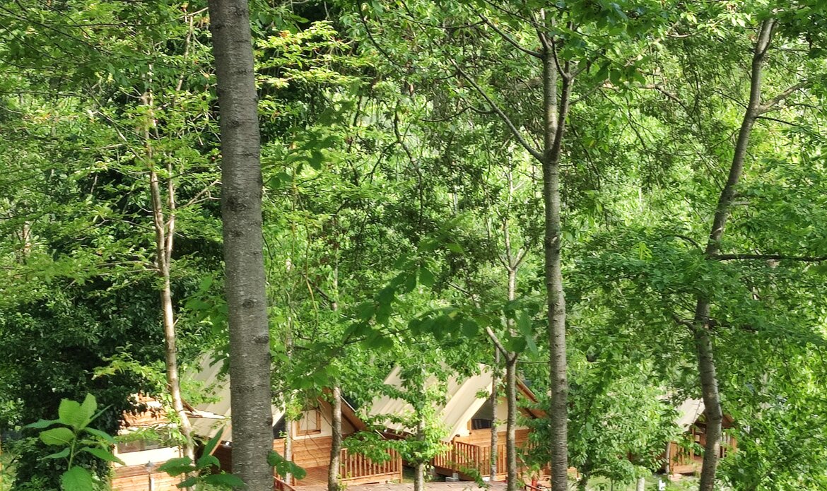 a2e12dbd-015a-42ca-b275-ba63c56e9d55