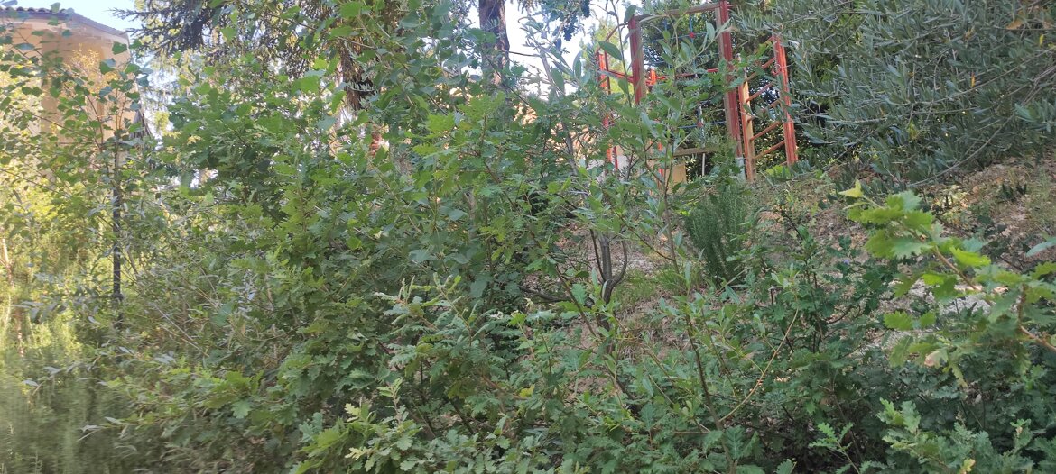 f2394e08-f101-4858-9251-a321213b0063