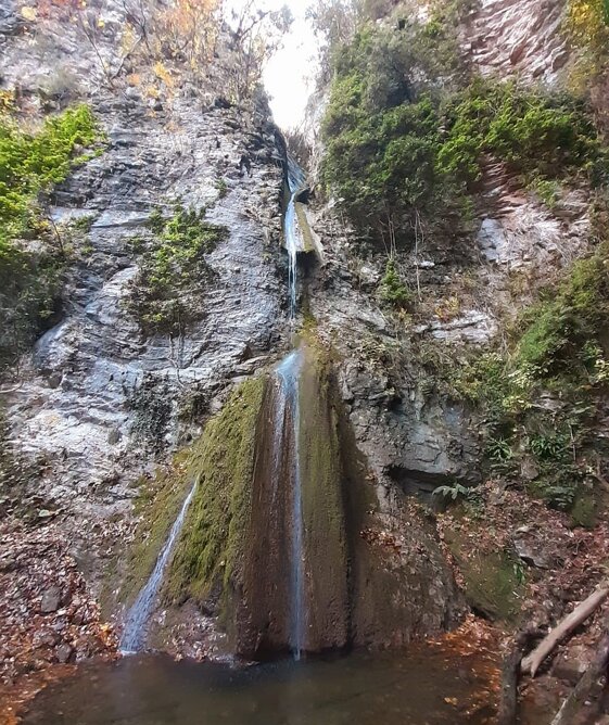 c25eb2af-c804-4241-af8e-835c2151a300 c25eb2af-c804-4241-af8e-835c2151a300