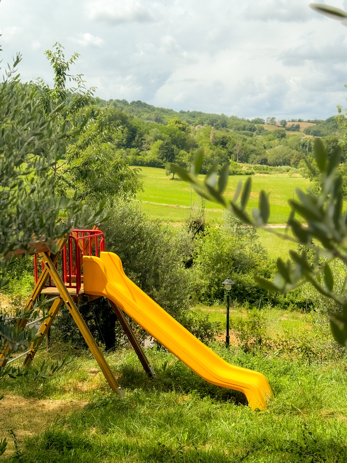 28b87c81-1f68-411a-bf5d-0c494423598a