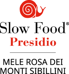 logo presidio verticale sintetizzato expanded (2)