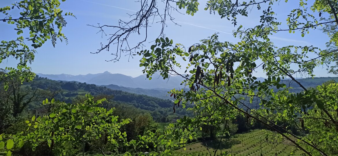 e62e2e67-813d-4985-b976-dfd3ffde271f