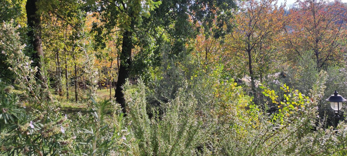 084193f0-40c1-430b-b63b-5aa2df6a70e9